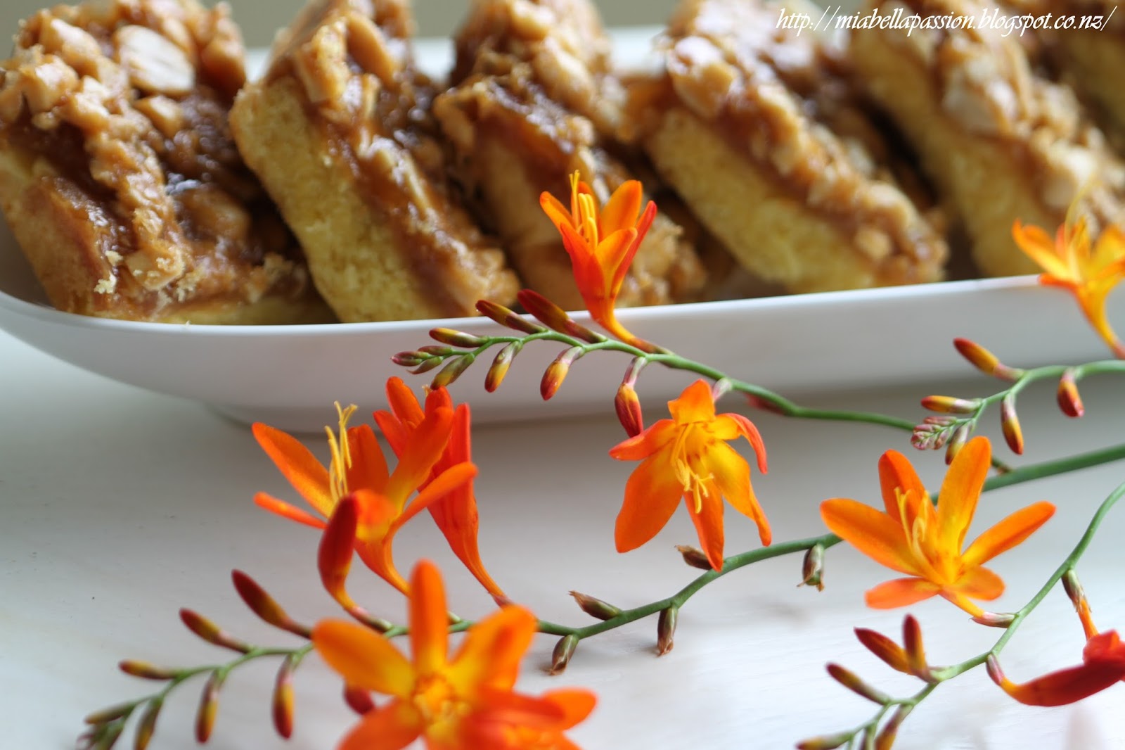 Mia Bella Passions Salted Caramel Peanut Squares...