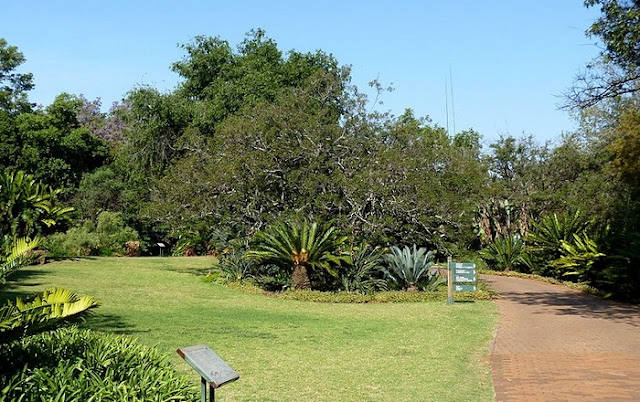 Pretoria Botanical Garden 