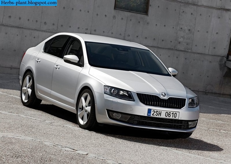 Skoda octavia car 2013 front view - صور سيارة سكودا اوكتافيا 2013 من الخارج Skoda octavia car 2013 front view - صور سيارة سكودا اوكتافيا 2013 من الخارج