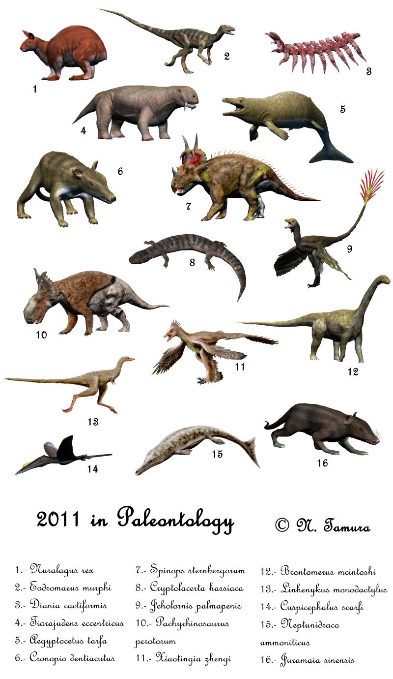 Paleoexhibit 2011 in Paleontology