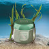 OCEANUS - ocean algae organic draining body cream
