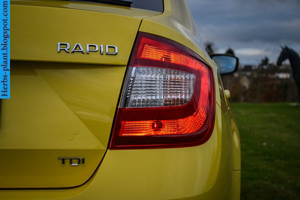 Skoda rapid car 2013 logo - صور شعار سيارة سكودا رابيد 2013 Skoda rapid car 2013 logo - صور شعار سيارة سكودا رابيد 2013