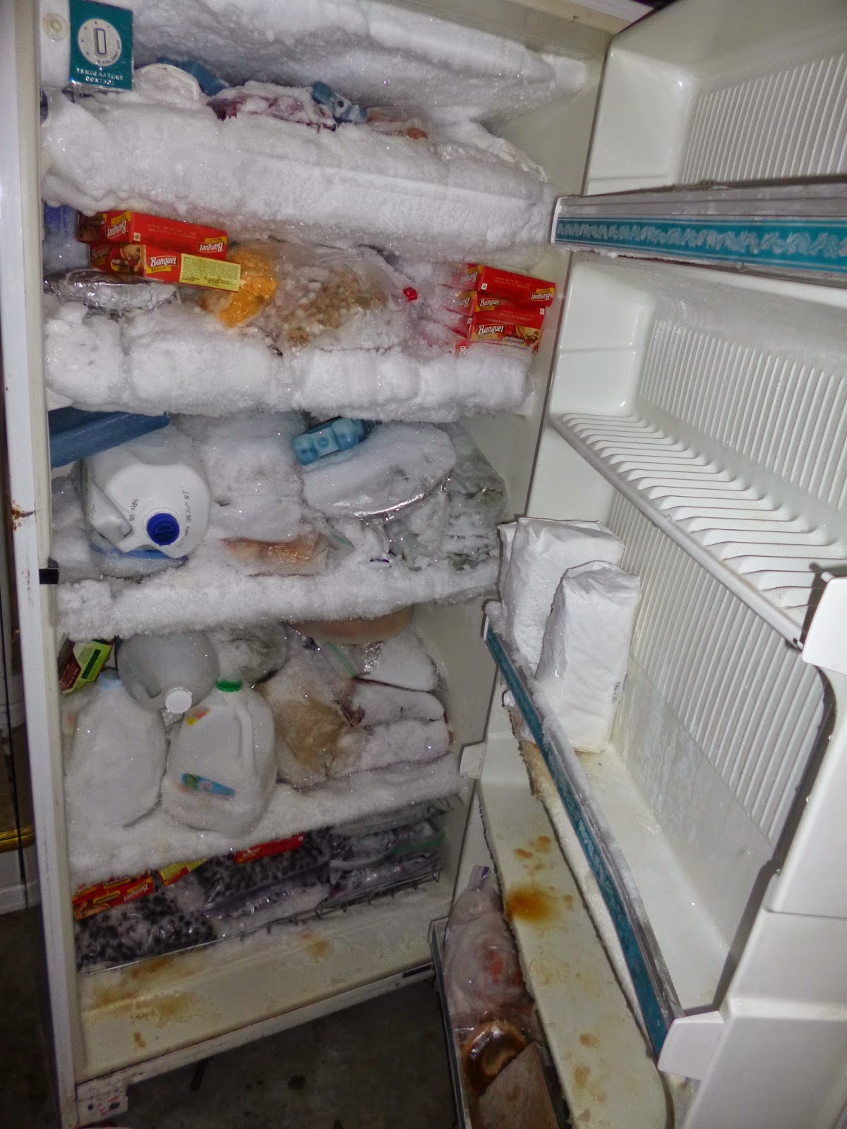 A Resourceful Home Freezer Defrosted! 2 Days Ahead of Schedule