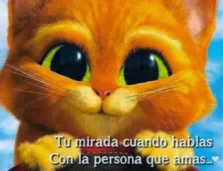 Imagenes de amor y tarjetas tiernas con Frases de amor para Facebook Imagenes de amor y tarjetas tiernas con Frases de amor para Facebook