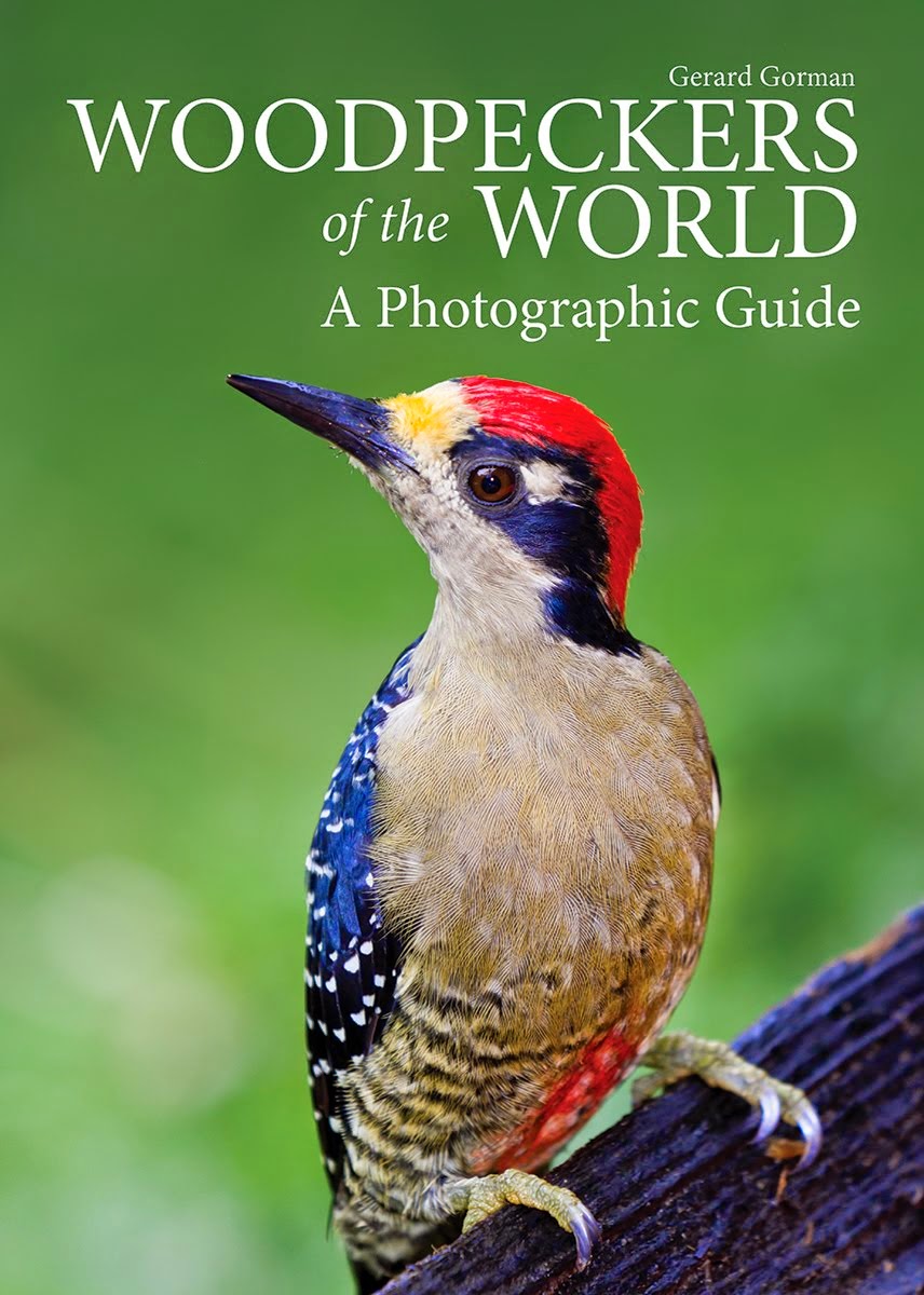 Woodpeckers of the World