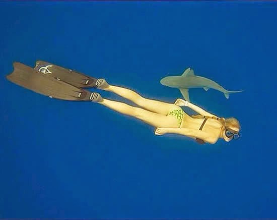 Conheça a modelo Ocean Ramsey instrutora de mergulho e amiga dos tubarões Conheça a modelo Ocean Ramsey instrutora de mergulho e amiga dos tubarões