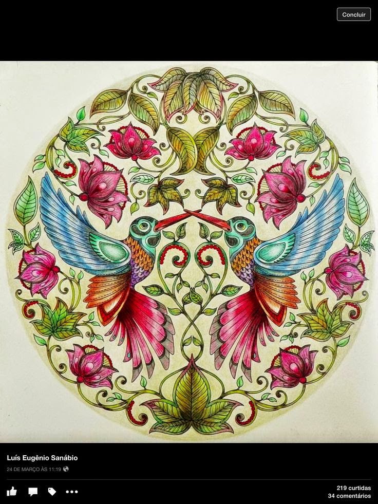 decoracao jardim secreto: colorir antiestresse para adultos: Jardim Secreto e Floresta Encantada decoracao jardim secreto: colorir antiestresse para adultos: Jardim Secreto e Floresta Encantada