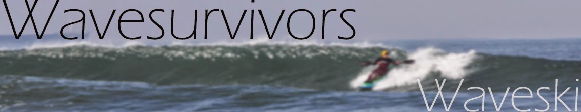 Blog Wavesurvivors