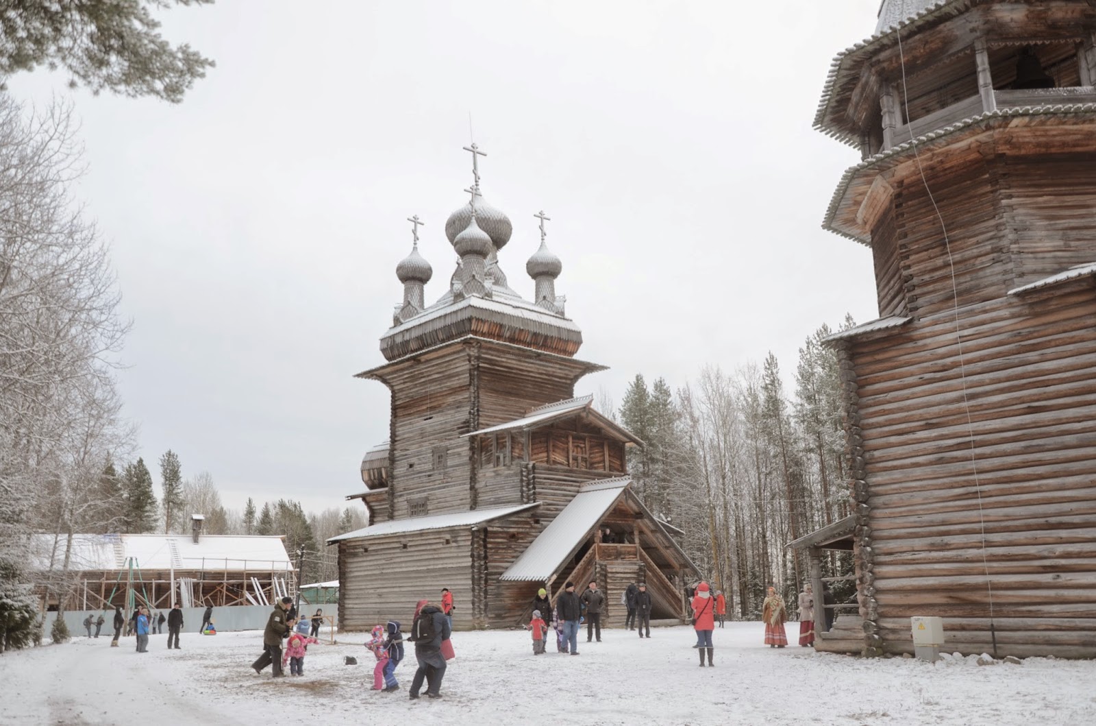 Малые карелы рисунок