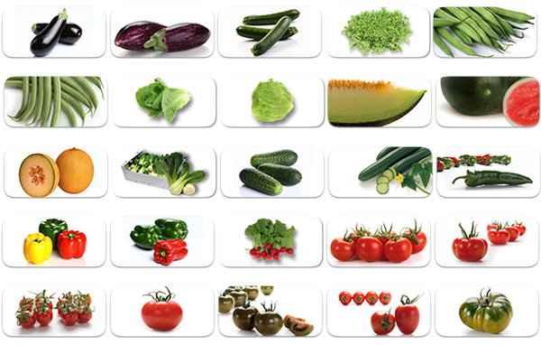 Nombres+De+Frutas+Y+Verduras Nombres De Frutas Related Keywords & Suggestions - Nombres De Frutas ...