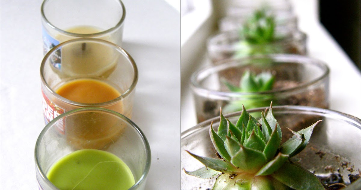 Can Can Dancer Candle Jars to Succulent Garden