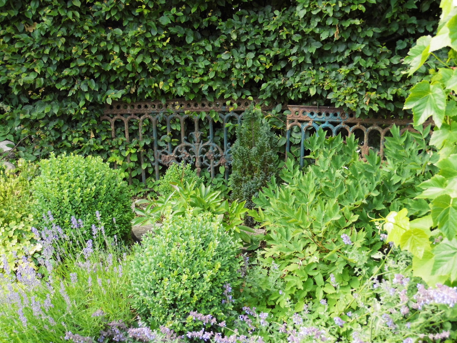 versponnenes: Gartendecke...