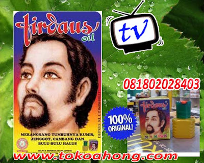 penumbuh+jinggot+firdause.jpg