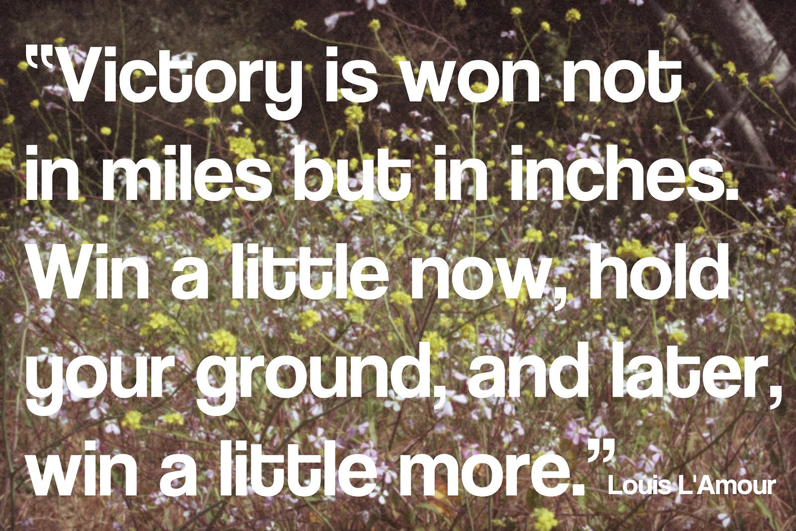 Thinking Small Life's Little Victories Learn Something New