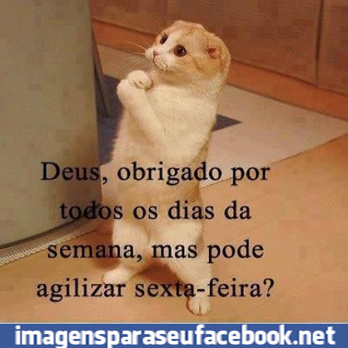 Imagens, Fotos e Mensagens para Facebook