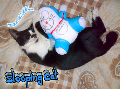 nyenyak bener si meoow'nya,, ^^"... Mimpinya udah jauh,, mana sambil senyum-senyum ^,^