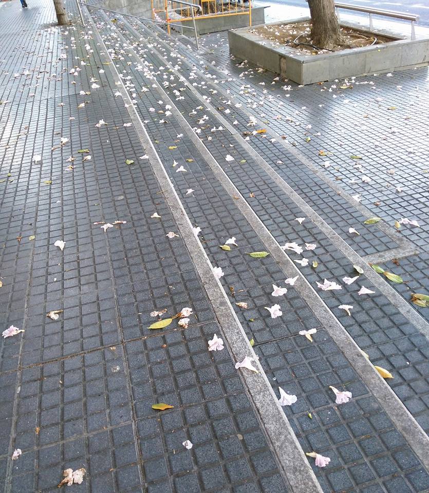 ...para medir ausencias...