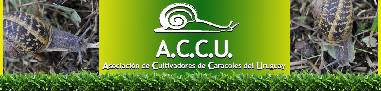 Asociación de Criadores de Caracoles del Uruguay