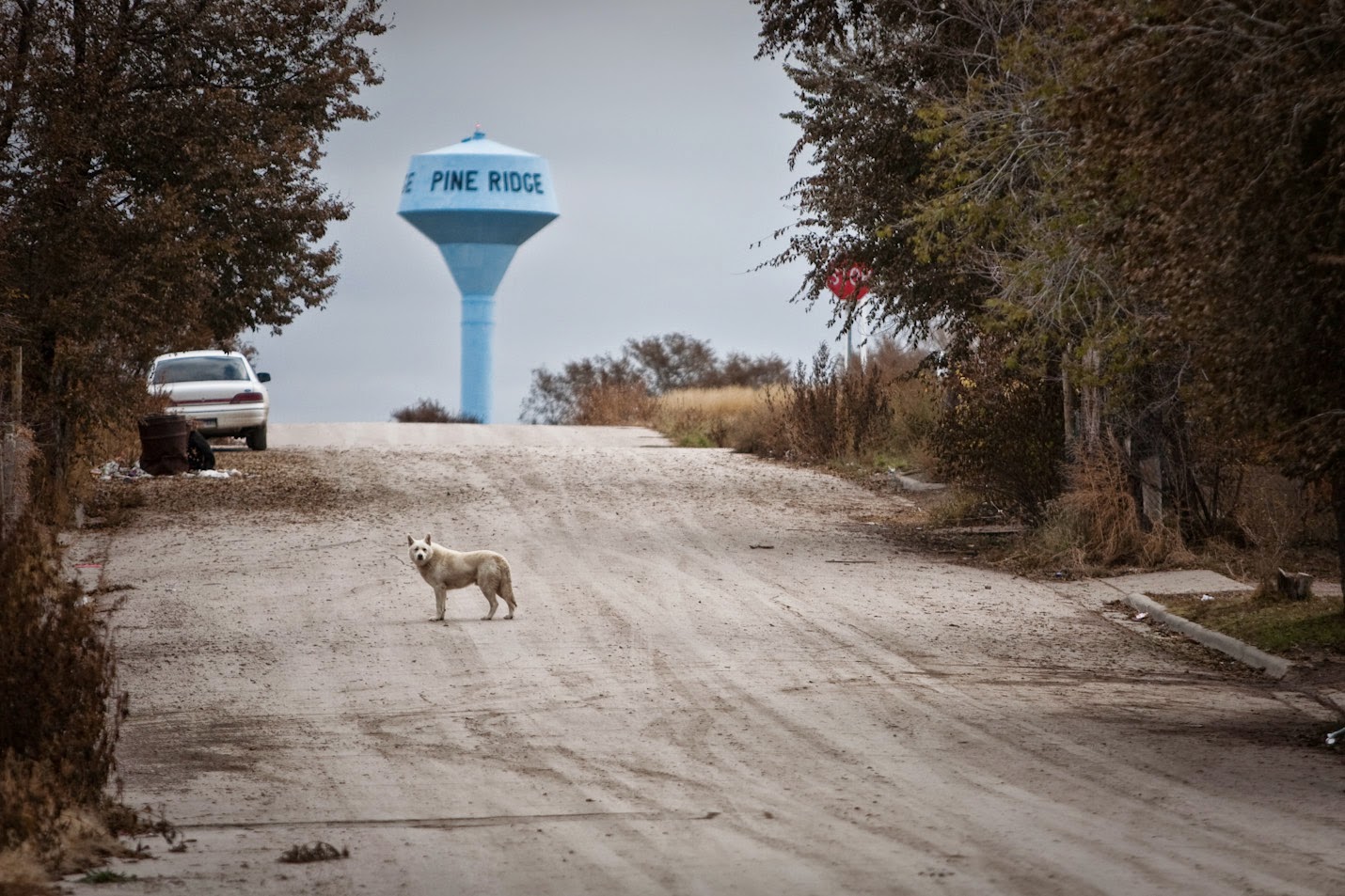 News from Pine Ridge