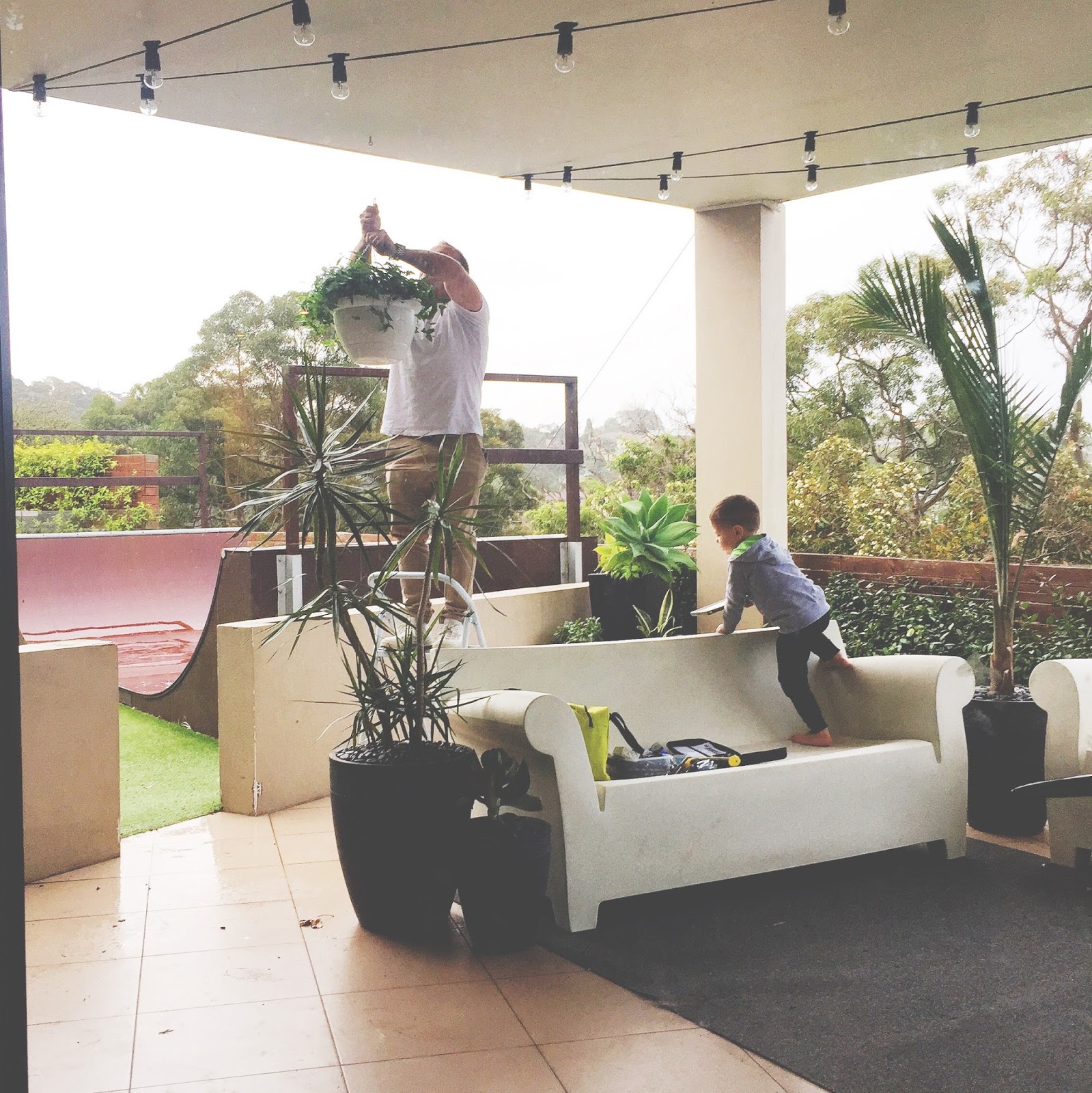 Honey And Fizz Our Outdoor Space Plants Festoon Lighting Honey And Fizz Our Outdoor Space Plants Festoon Lighting Furniture