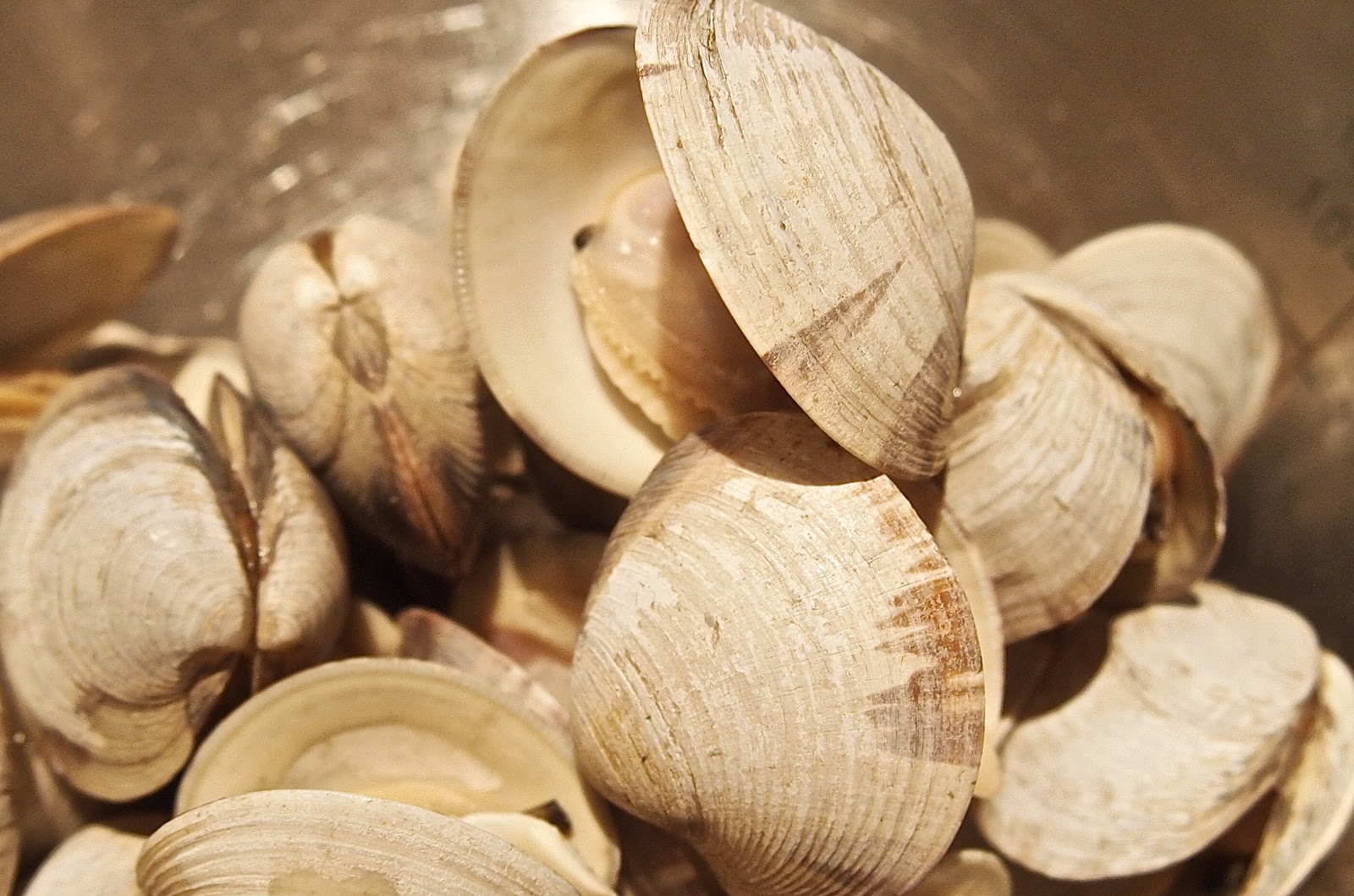 EpiCurious Generations Pasta Neck Clam Chowder (New England Style)