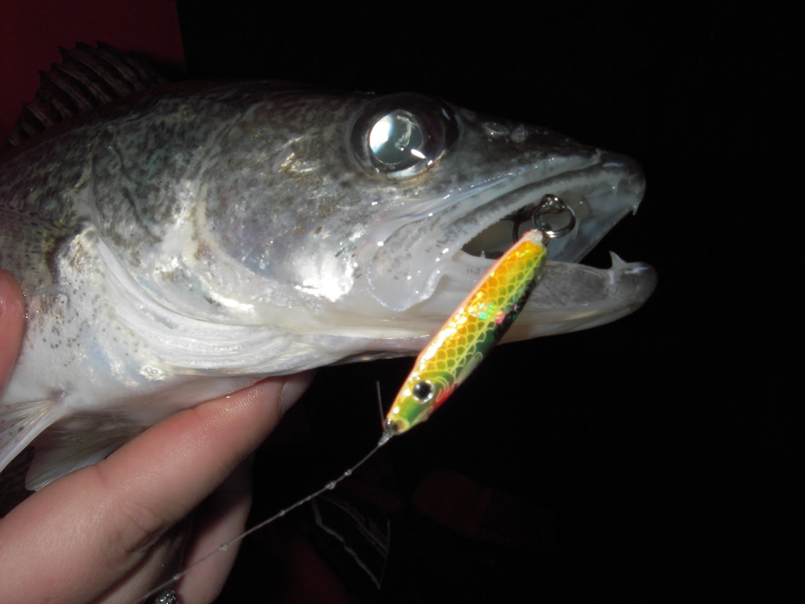 Slab Seeker Fishing Spoon Tactics for First Ice