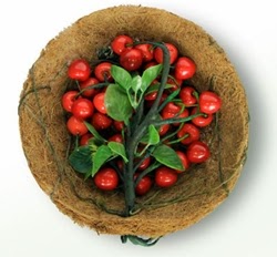 desain keranjang buah unik