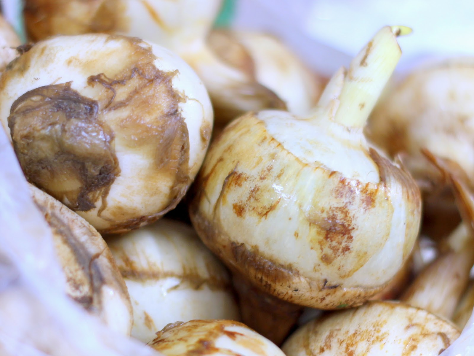 The Informal Chef Chinese New Year Snack Arrowhead Chips/Ngaku Chips炸芽菇饼