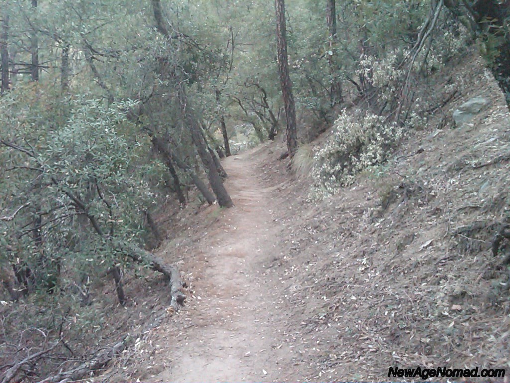 New Age Nomad Madera Canyon Mount Wrightson Hike Tucson, AZ