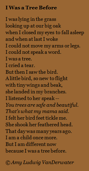 the poem farm i was a tree before