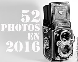 52 Semaines en Photo 2016