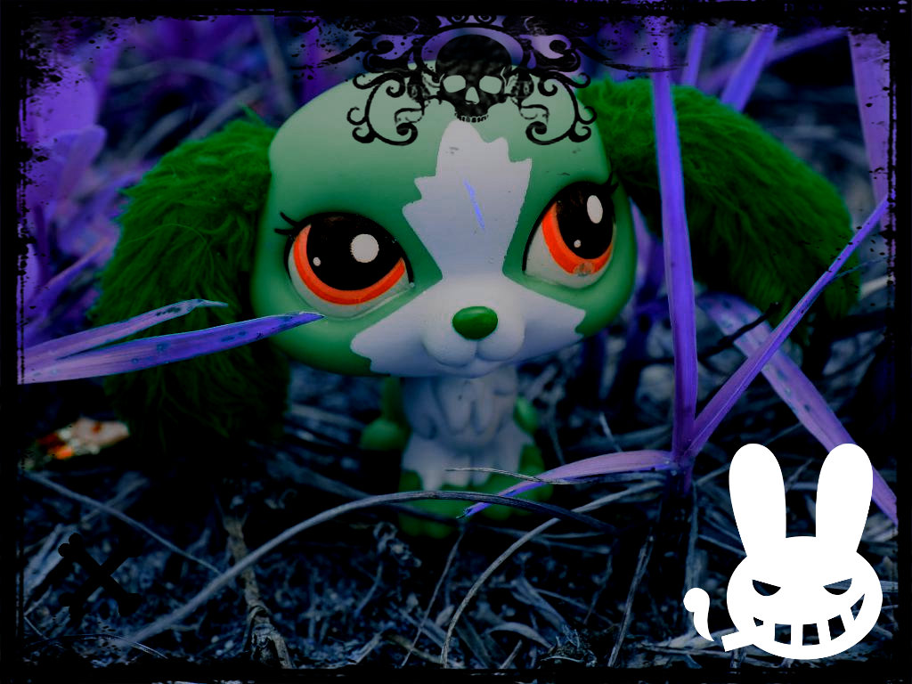 Cool Lps