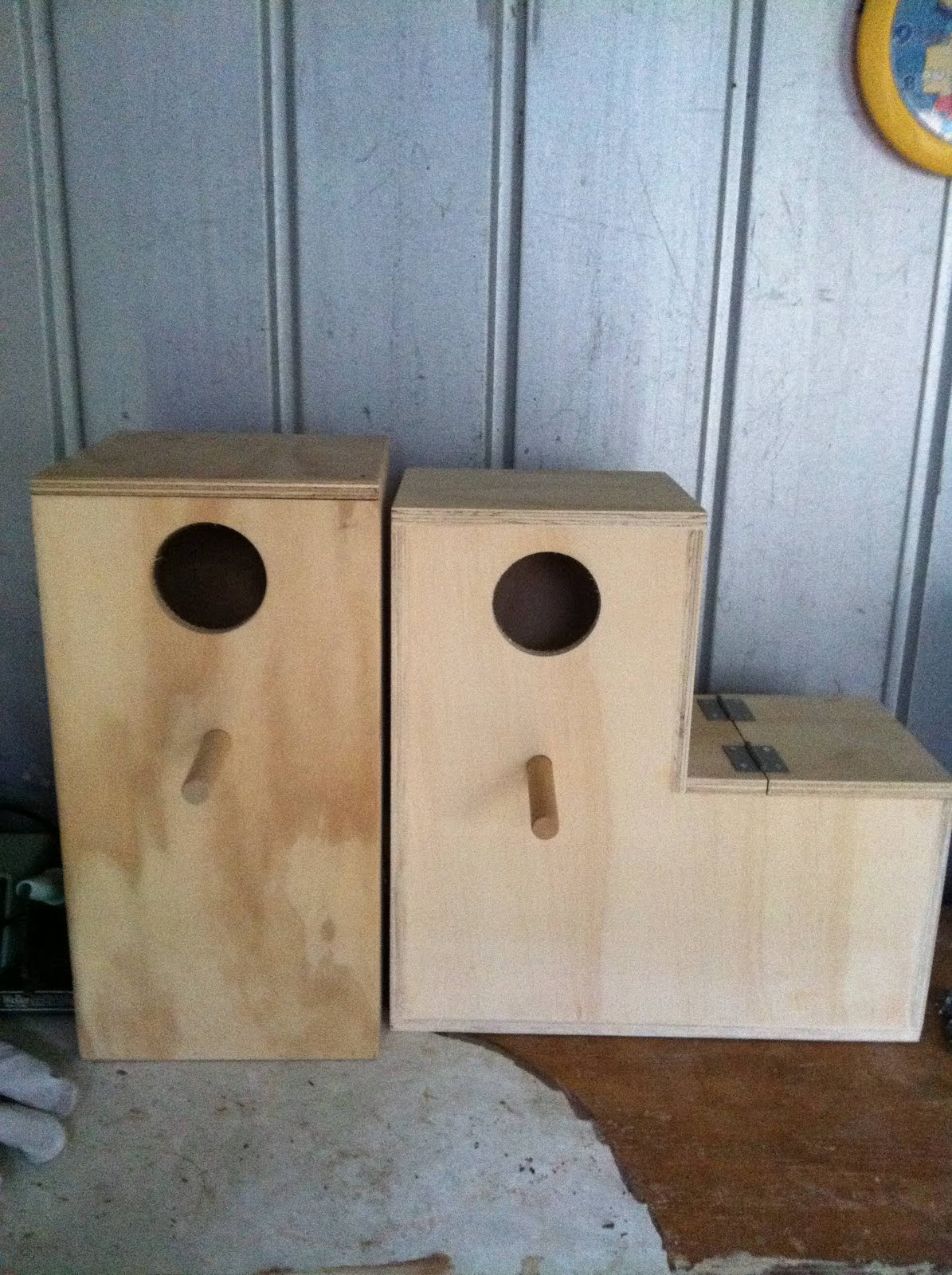 parrot nest box