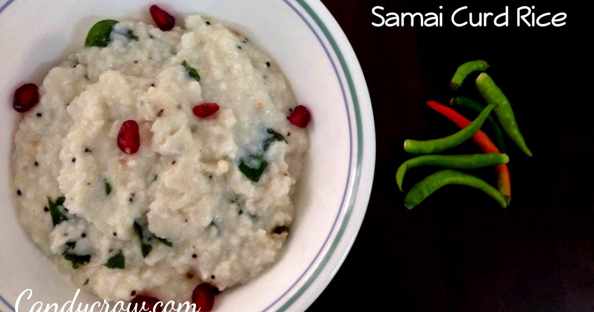 Samai Curd Rice Millet Recipe Candy Crow Indian Beauty and
