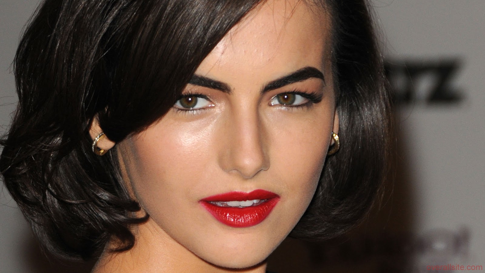 Hollywood Actress Latest Wallpapers: Hollywood Actress Camilla Belle