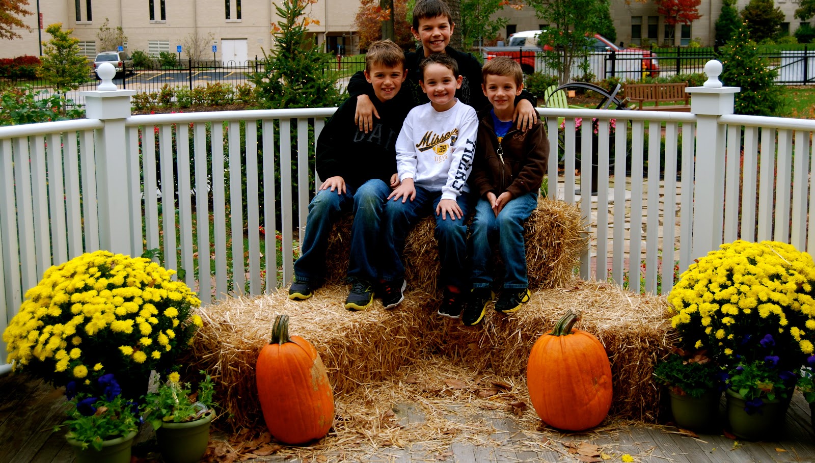 BeverlyDiane's Realm Pics from the Magic House & Eckert Apple Orchard near St. Louis