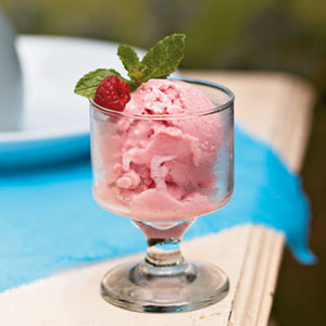 Can Dogs Eat Strawberry Frozen Yogurt Can Dogs Eat Strawberry Frozen Yogurt