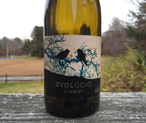 Evolúció Furmint 2013