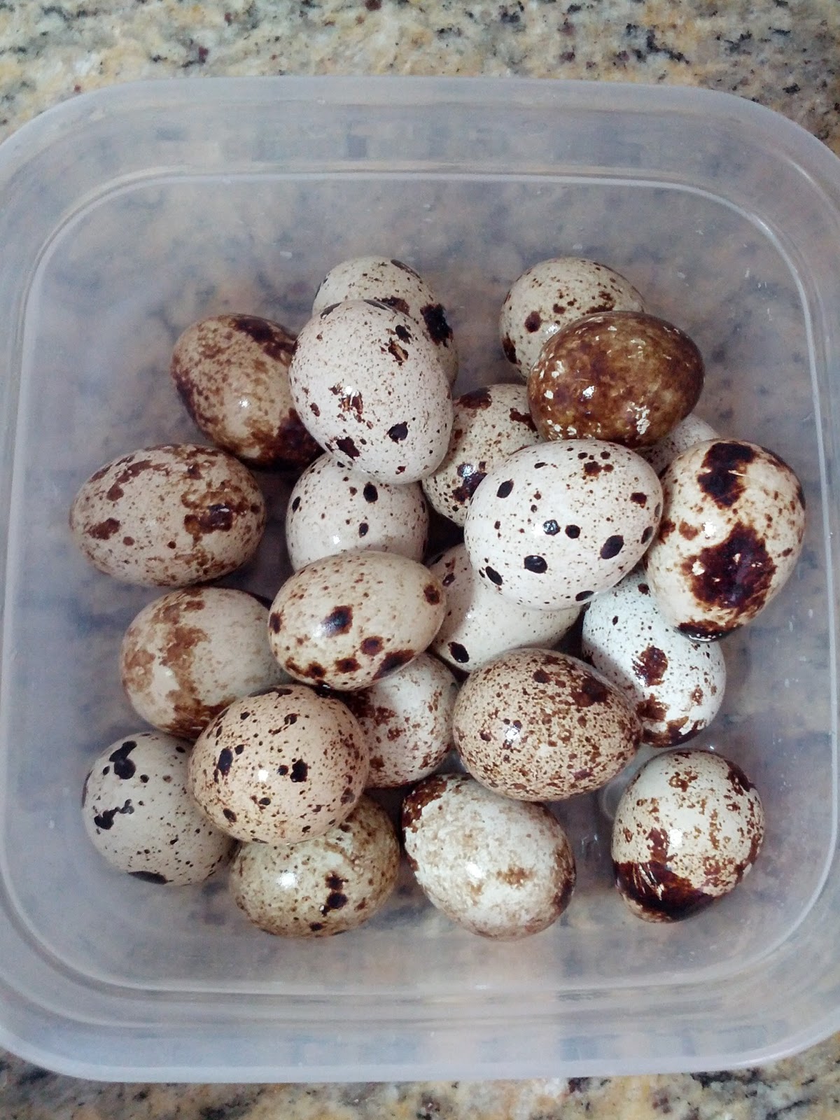 Viva Comida! Como fazer Conserva de ovos de codorna.