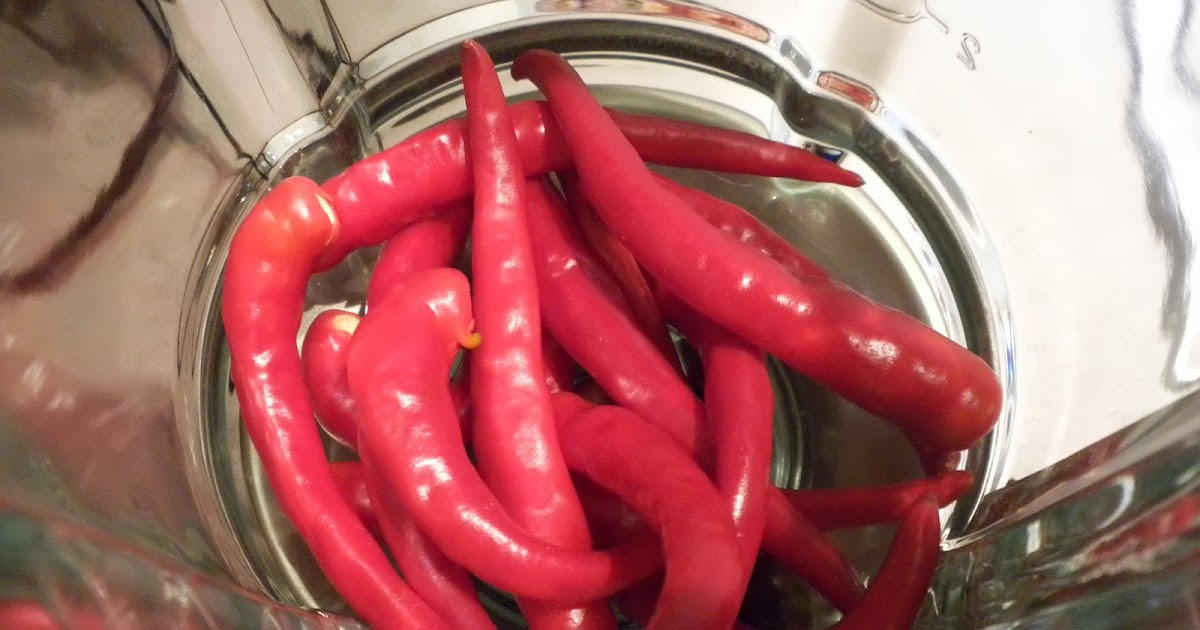 Homemade Cayenne Hot Sauce