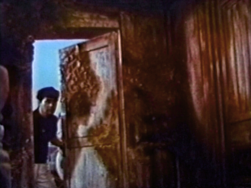 13 ATTACK OF THE MUSHROOM PEOPLE / Toho Studios 1963