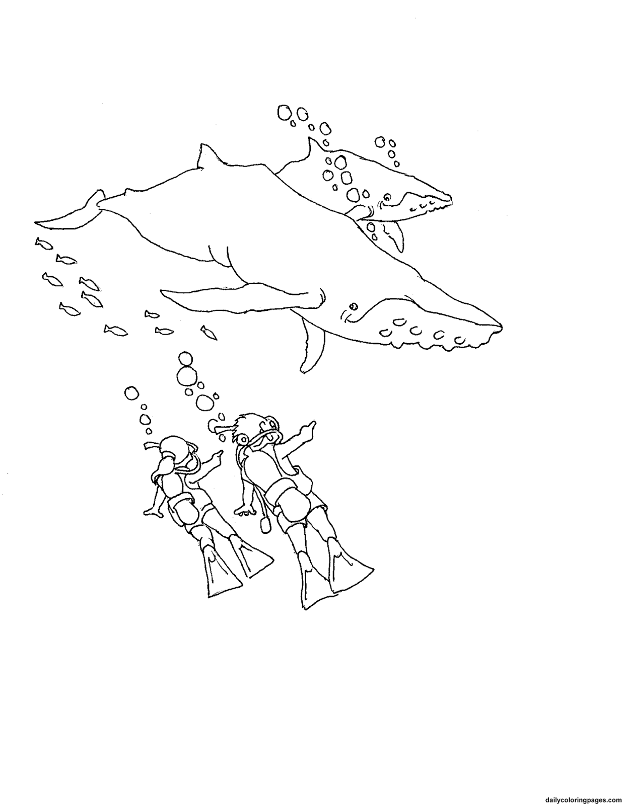 Types Of Sports Coloring Pages For Kids: Diving Coloring Pages Photograph