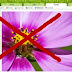 Google Cuts 6 Services, Including Urchin & Picnik
