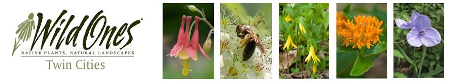 Wild Ones Twin Cities Minnesota