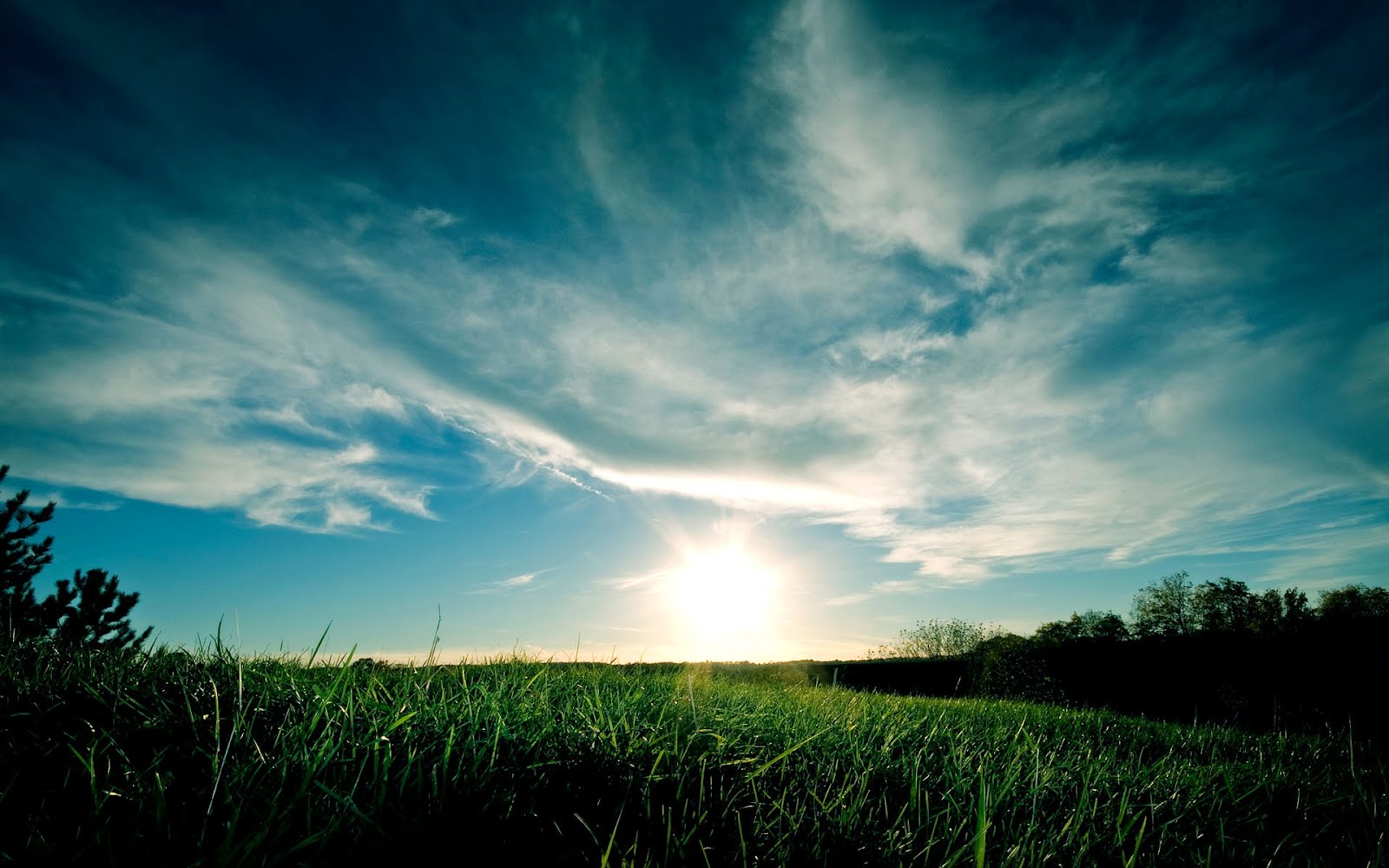 http://4.bp.blogspot.com/-bPp6tdMYnSo/UEiO4BL1fHI/AAAAAAAACA4/UC4ey2EEtwM/s1600/awesome%2Bwallpapers%2Bwidescreen%2B3.jpg