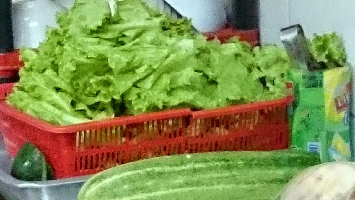 Mengembara mencari Asma Rojak Johor Mengembara mencari Asma Rojak Johor