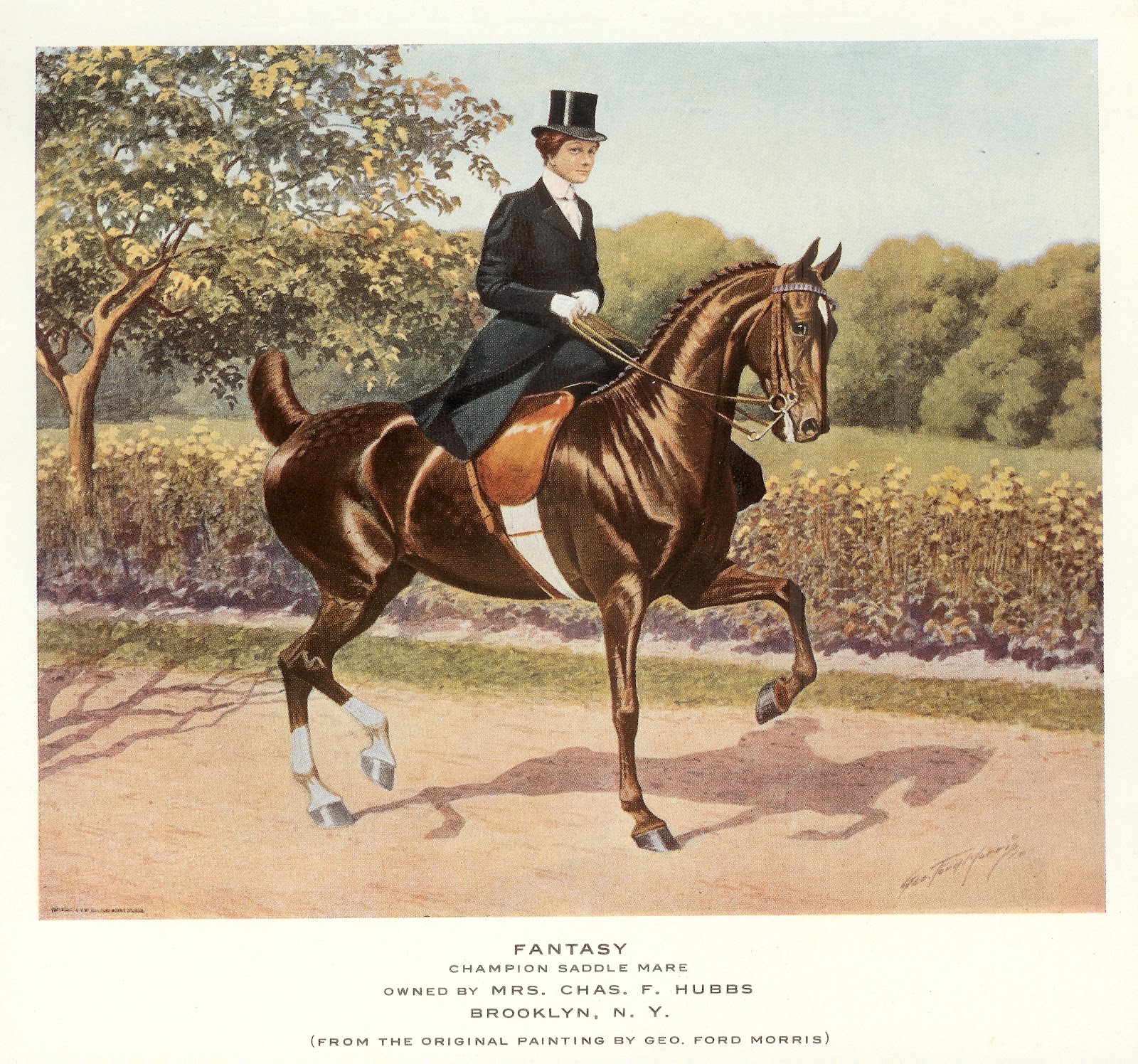 George Ford Morris Photo Print of great Saddlebreds