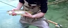 Fly Fishing Slovenia