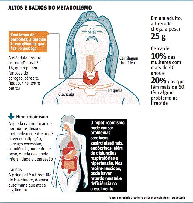 Como será ajustado em conselhos de perda de peso do psicólogo