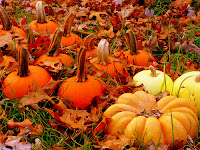 Autumn Pumpkins2
